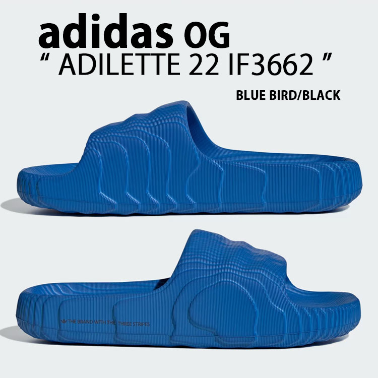 If3672 Dép Chính Hãng - Adidas Adilette 22 ''Navy'' - IF3662