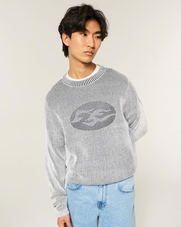Áo Sweater Chính Hãng - Hollister Boxy Graphic Crew Sweater 