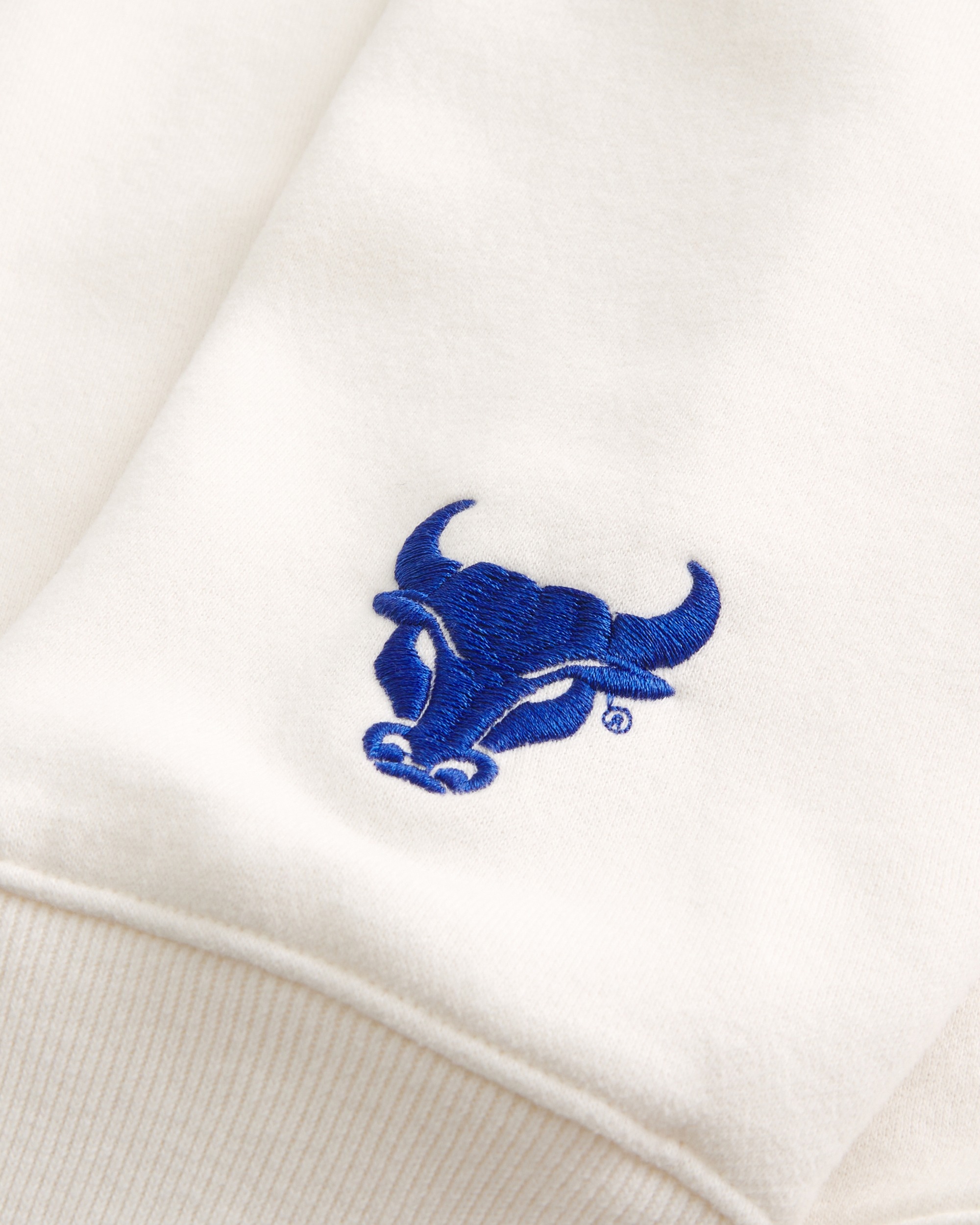 Áo Sweater Chính Hãng - Hollister Boxy University at Buffalo Bulls Graphic Crew Sweatshirt 
