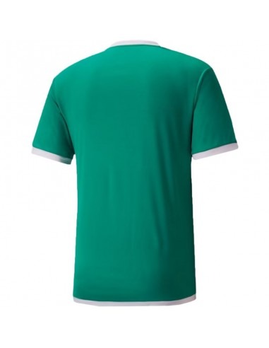 ÁO THỂ THAO HÈ - Puma TeamLiga Jersey - 704917-05