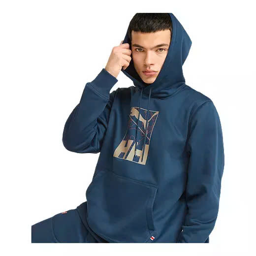 Bộ Thể Thao Chính Hãng - PUMA X Helly Hansen Men's Pullover Hoodie  - 532844_65