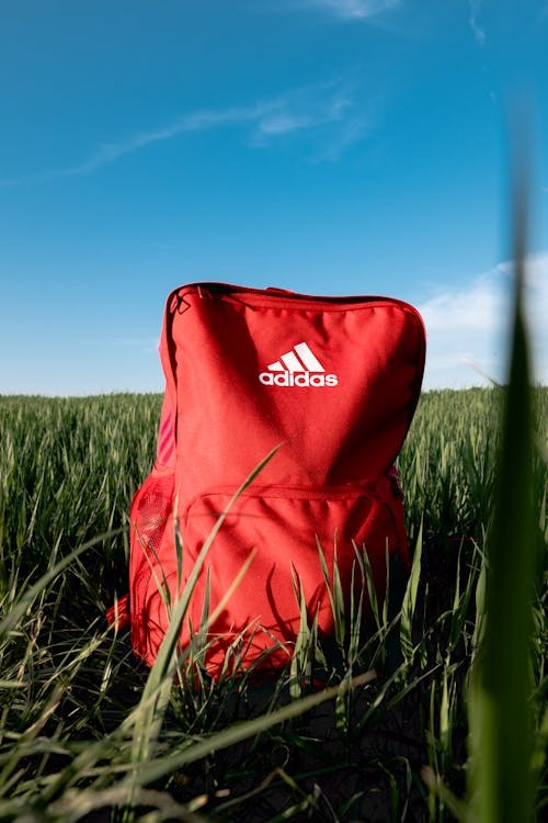 Phụ Kiện Chính Hãng - Balo Adidas Originals Vista Backpack 