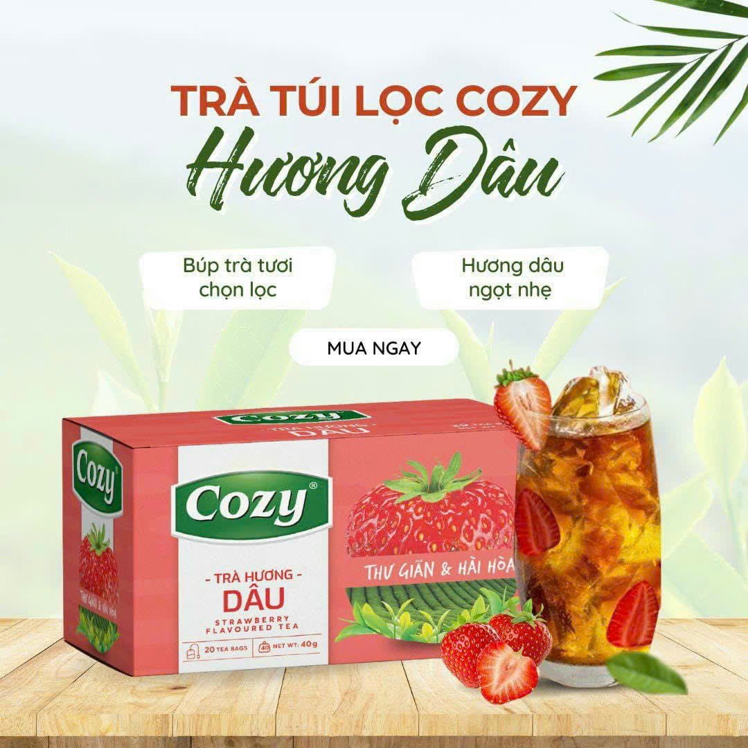 Trà cozy túi lọc hộp 50g (25 gói x 2g) - DÂU