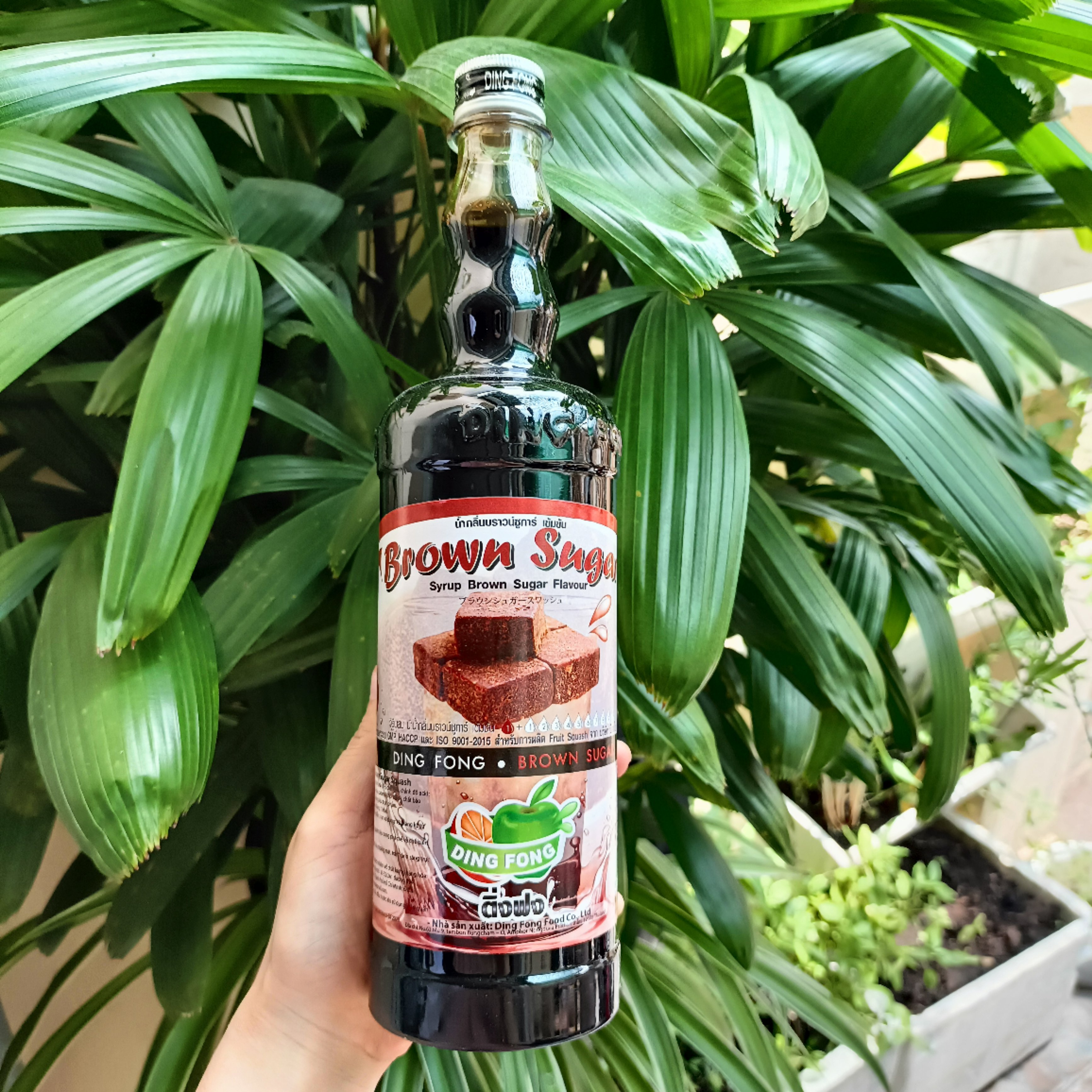 Siro Dingfong Đường đen 760ml