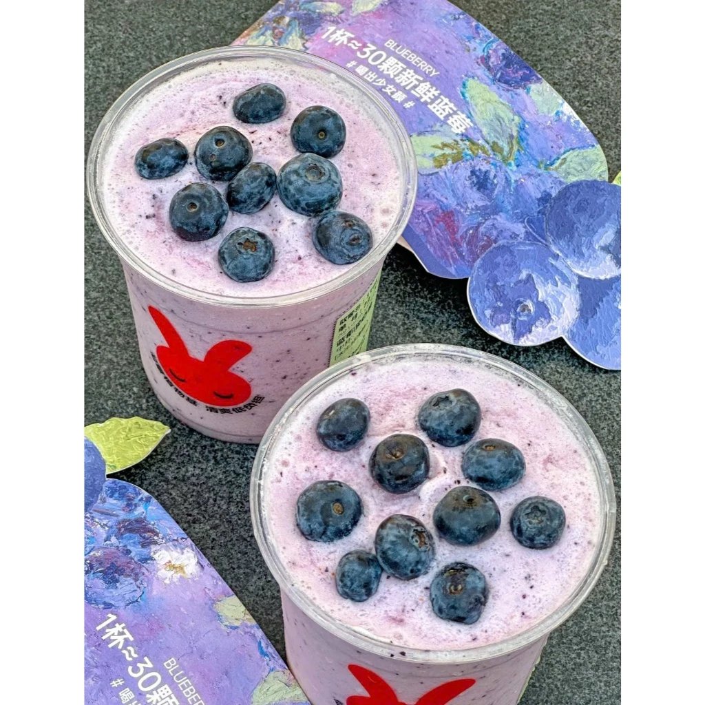 Siro Boduo 2 Lít - VIỆT QUẤT