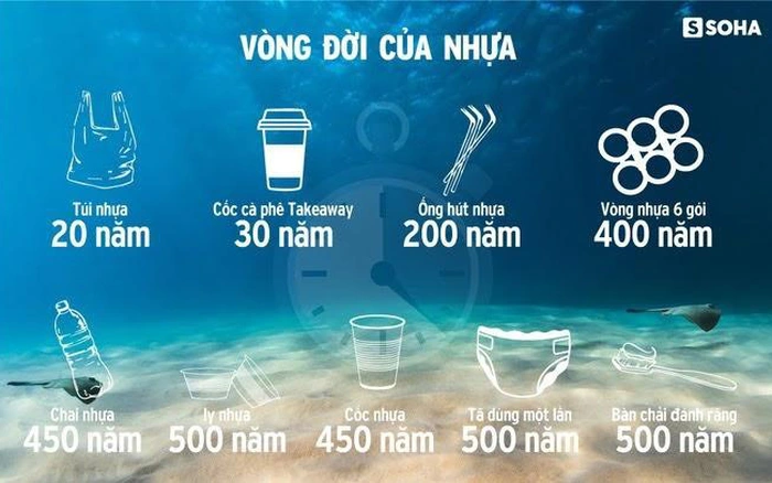 Vòng đời của hạt vi nhựa