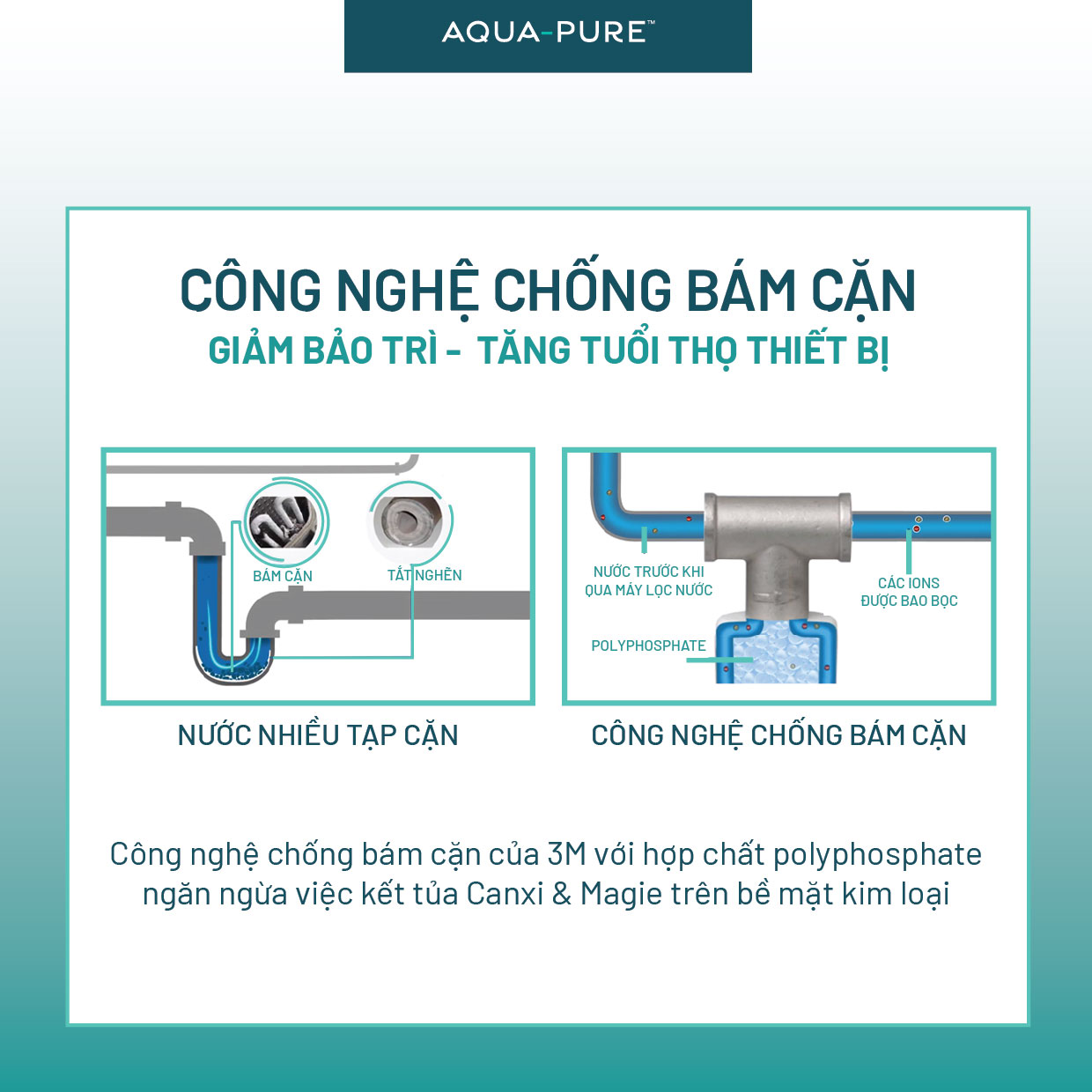 Máy Lọc Nước Tổng Đầu Nguồn 3M AP904 Kèm Lọc Thô 3M Cao Cấp