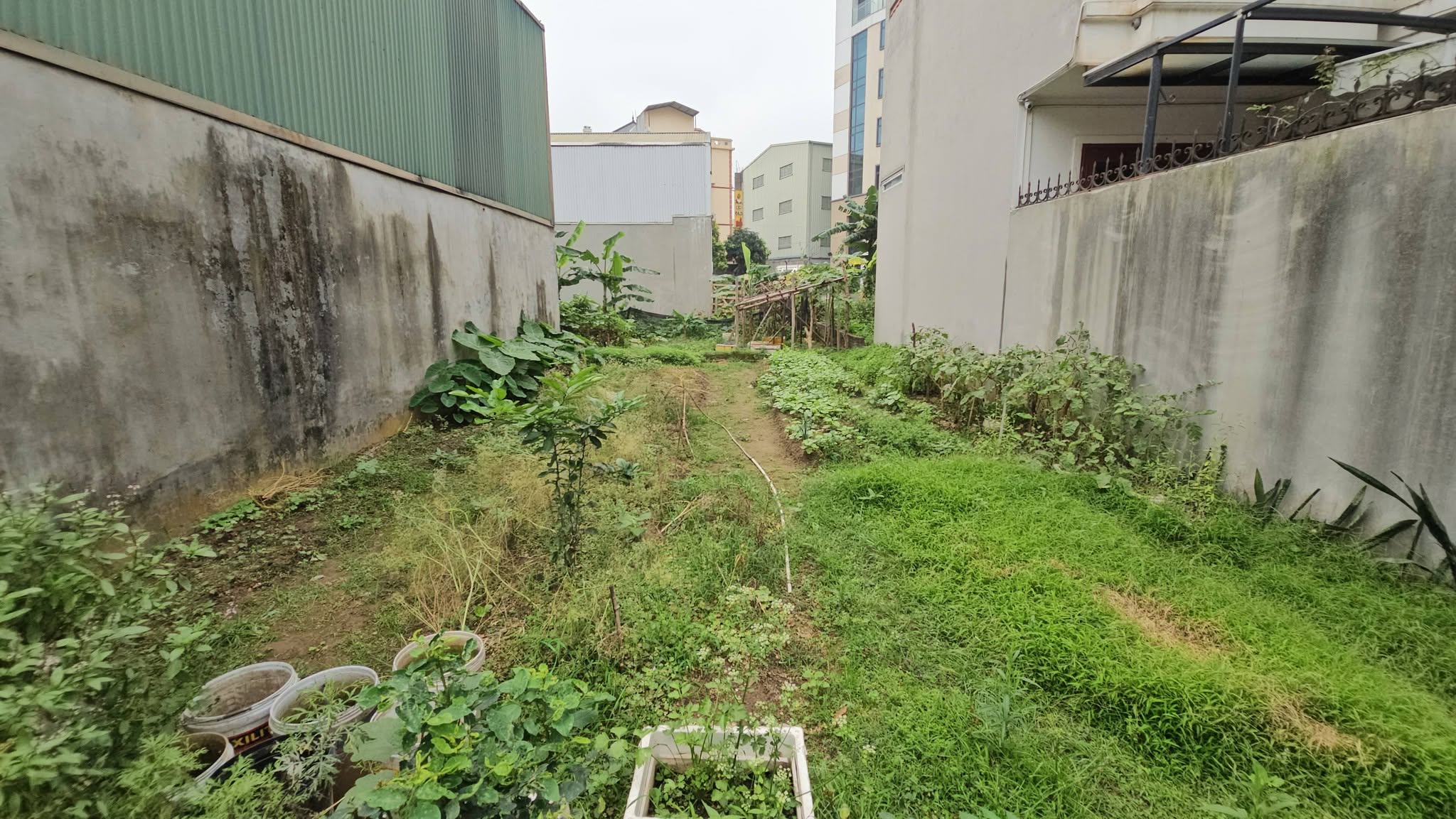 Bán đất đấu giá Cự Khối, gần Hồ Đầm Tranh, DT 91m2, MT 7m, đường 9m, ô tô tránh nhau