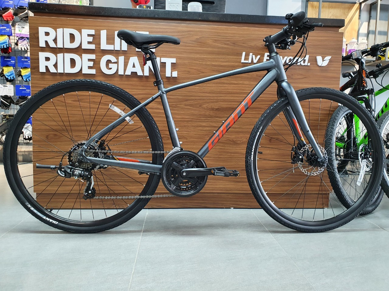 GIANT ESCAPE 2 2022