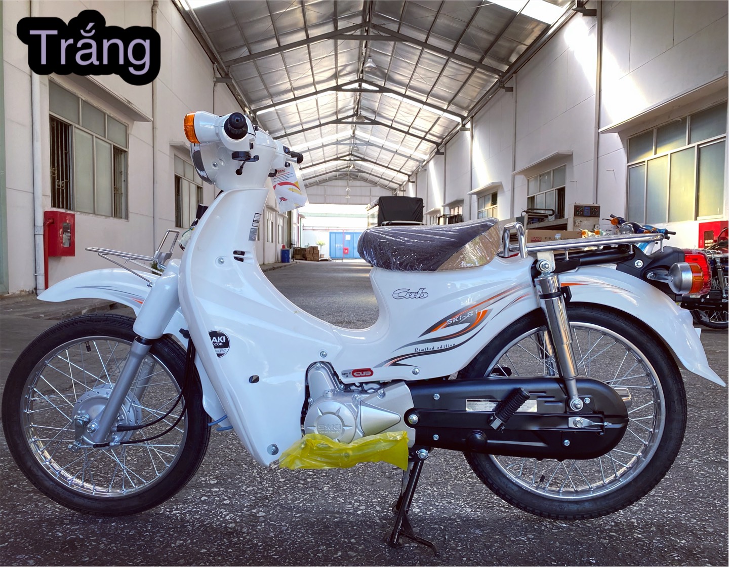 Sơn xe Honda Cub 81 màu xanh zin cực đẹp