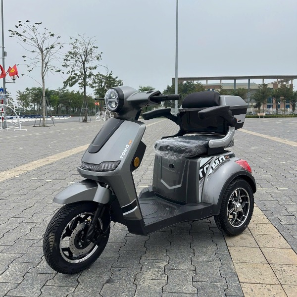 XE ĐIỆN 3 BÁNH GODA ( FuJi )