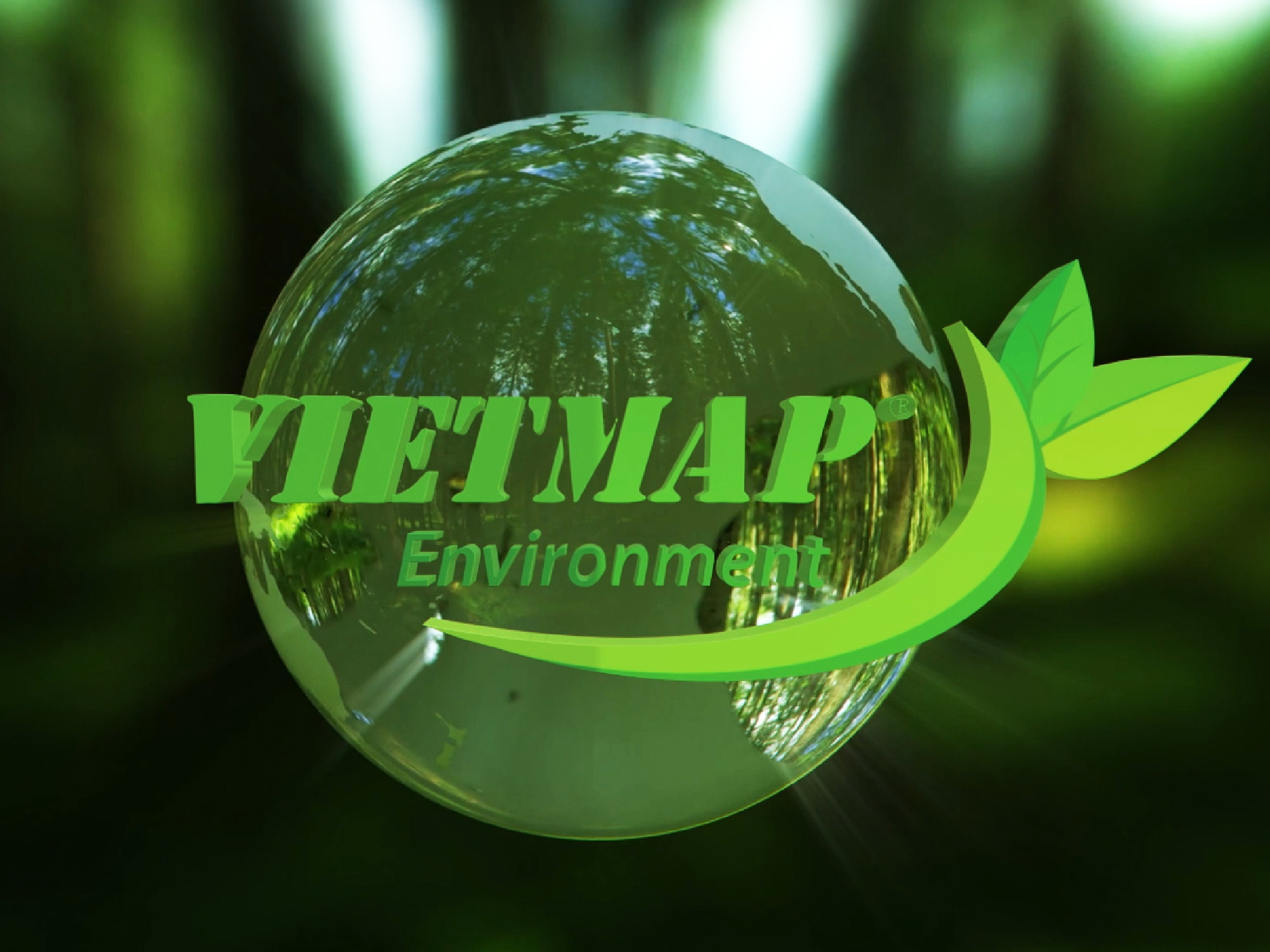 Vietmap Environment
