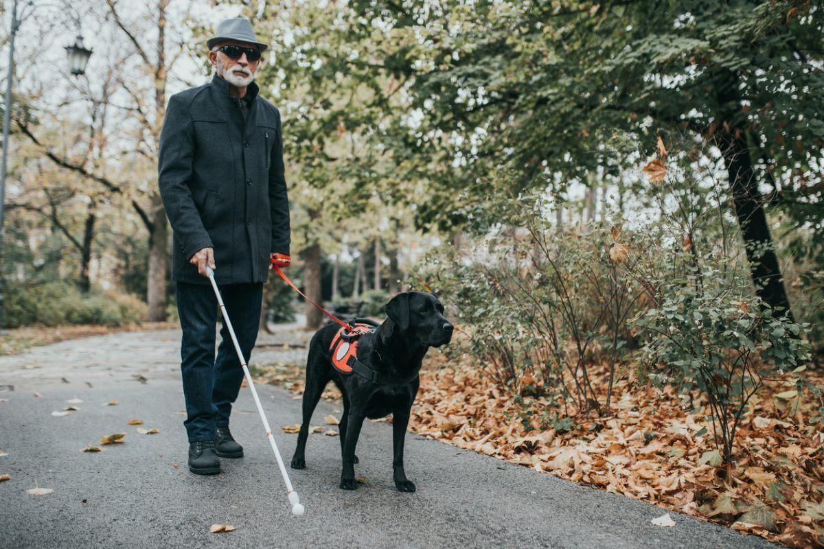 Mù: Nguyên nhân, triệu chứng và giải pháp hỗ trợ người mất thị lực