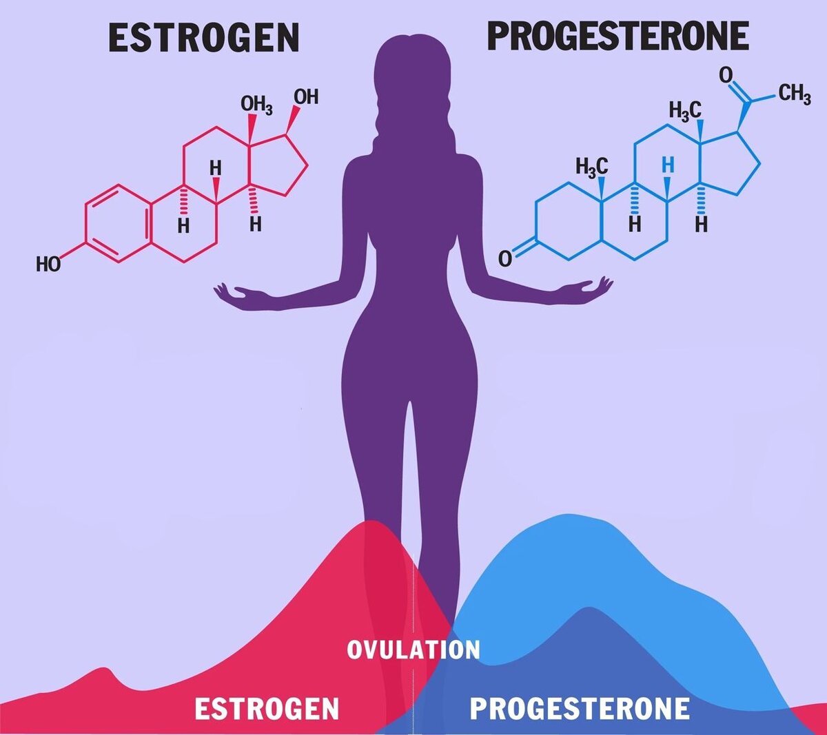 Giải pháp hỗ trợ cân bằng nội tiết và chăm sóc toàn diện sức khỏe nữ giới từ tinh hoa thảo dược châu Âu