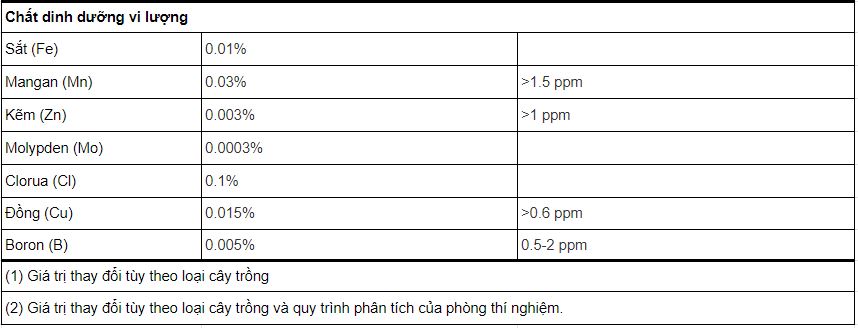 bang 1 cac nguyen to dinh duong can thiet