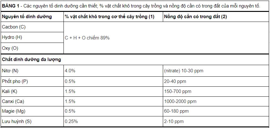 bang 1 cac nguyen to dinh duong can thiet