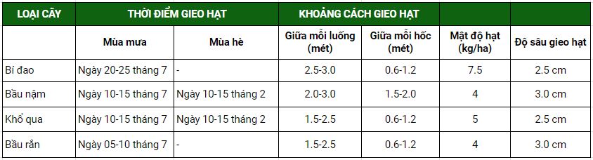 Thời điểm gieo hạt bầu bí