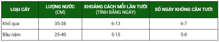 Tưới tiêu cho bầu bí