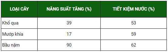 tưới nhỏ giọt cho bầu bí