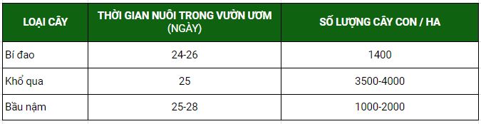 Chuẩn bị vườn ươm và cấy ghép bầu bí