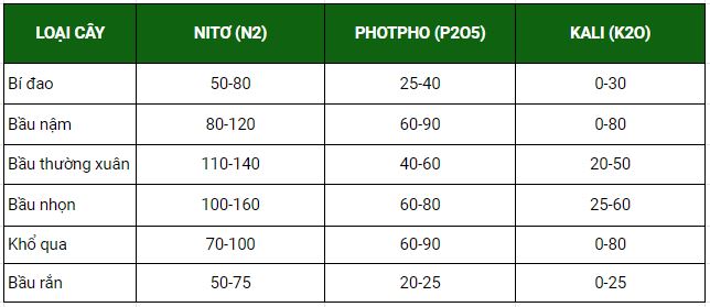 Bón phân cho cây bầu bí