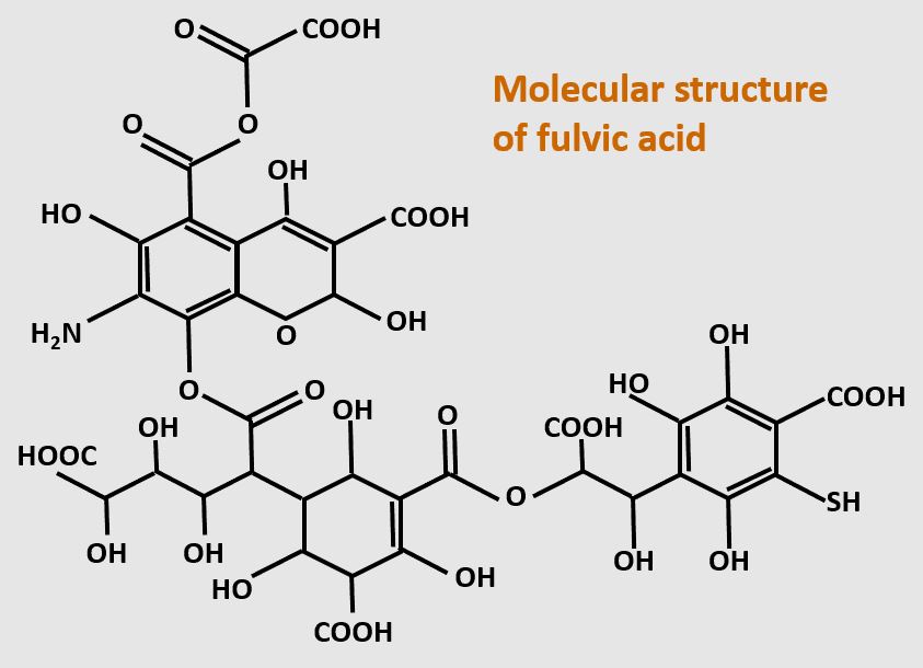 cau truc phan tu axit fulvic