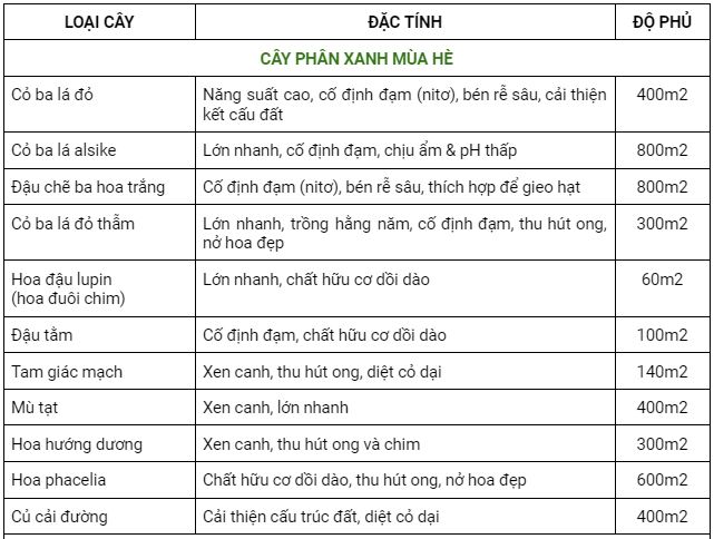 mot so cay phan xanh pho bien