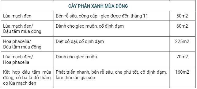 mot so cay phan xanh pho bien