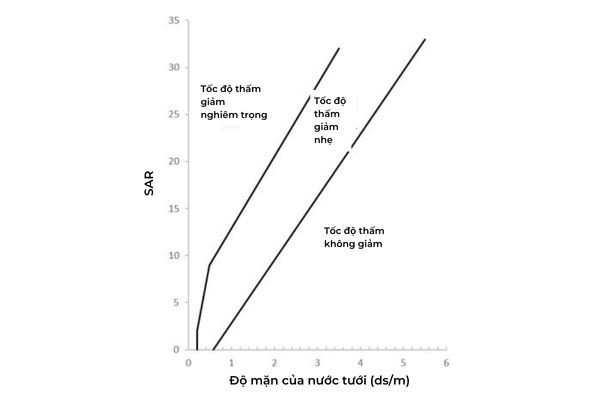 do thi SAR va do man cua nuoc tuoi cay