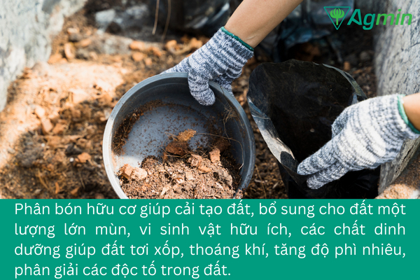 lợi ích của phân hữu cơ