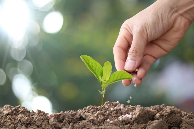 phan bon chelate la gi