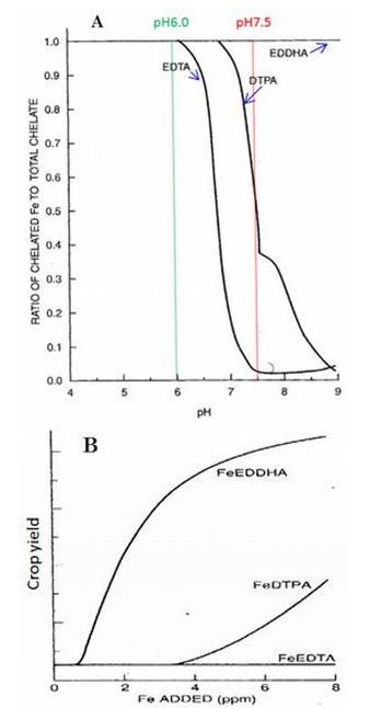 Hình 4: Ảnh hưởng của pH và các loại chelate 