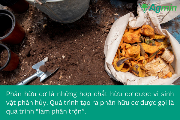 phân hữu cơ là gì