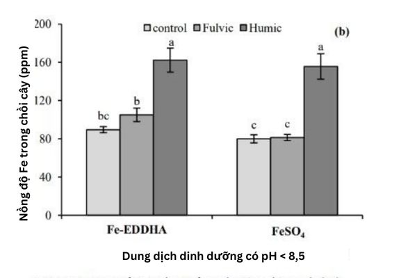 So sánh Chelate tổng hợp và Chelate Axit Fulvic/Axit Humic