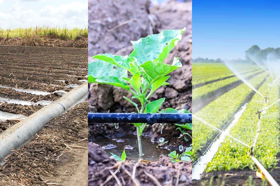 thiet ke he thong tuoi cay