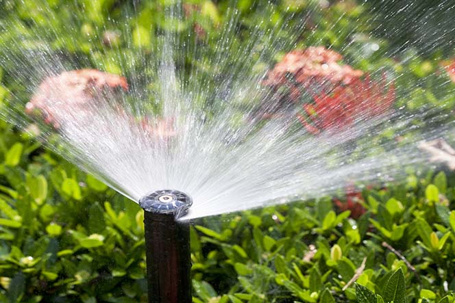 tieu chuan chat luong nuoc tuoi cay