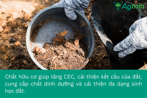 vai trò chất hữu cơ trong đất