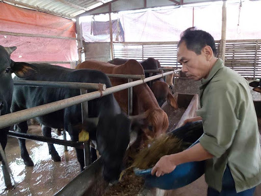 Ngành chăn nuôi tìm cách bắt nhịp với công nghệ.