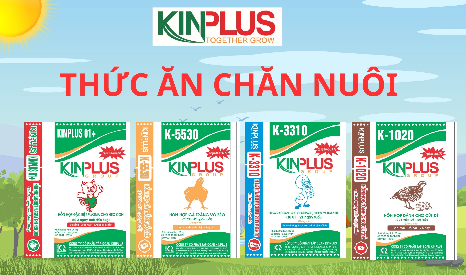 KinPlus - Together Grow