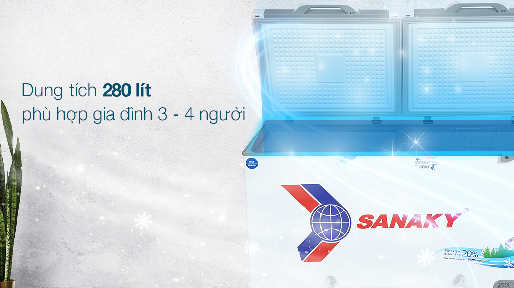 Tủ đông Sanaky 280 lít VH4099W2KD