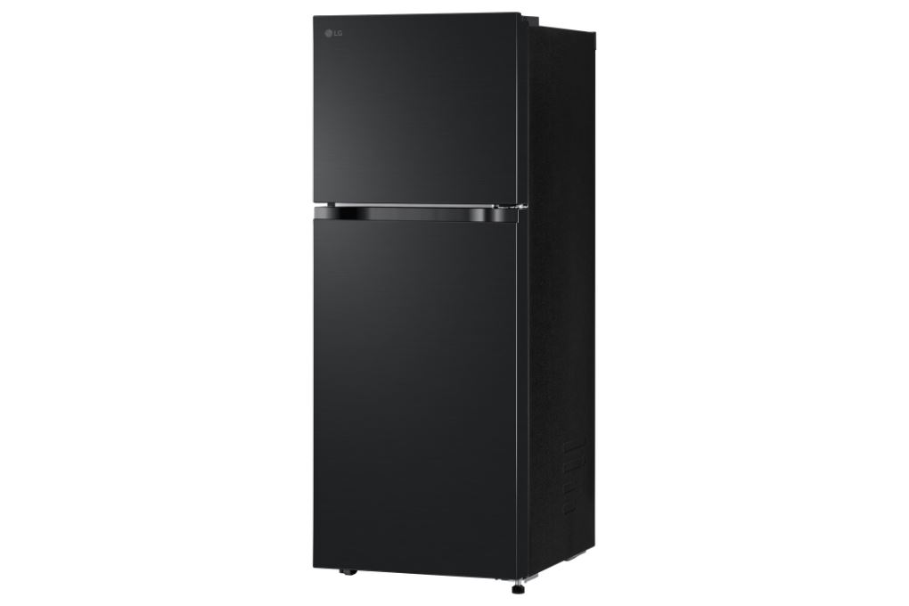 Tủ lạnh LG Inverter 217 lít LTB21BLMI