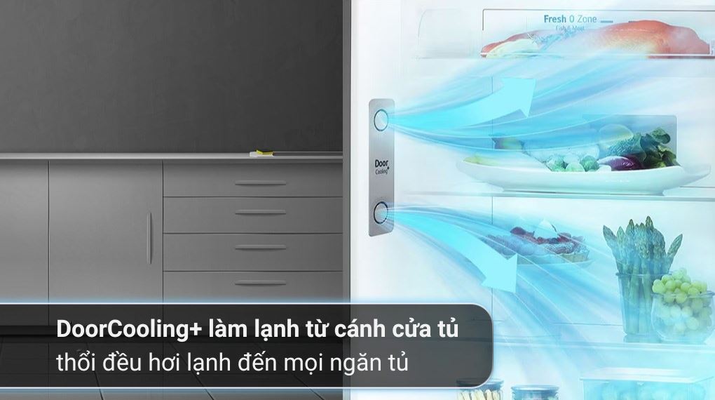 Tủ lạnh LG Inverter 264 lít GV-D262BL