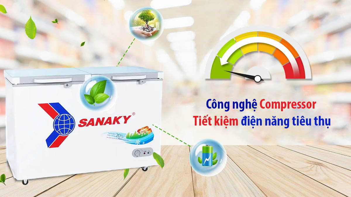 Tủ đông Sanaky 305 lít VH4099A2KD