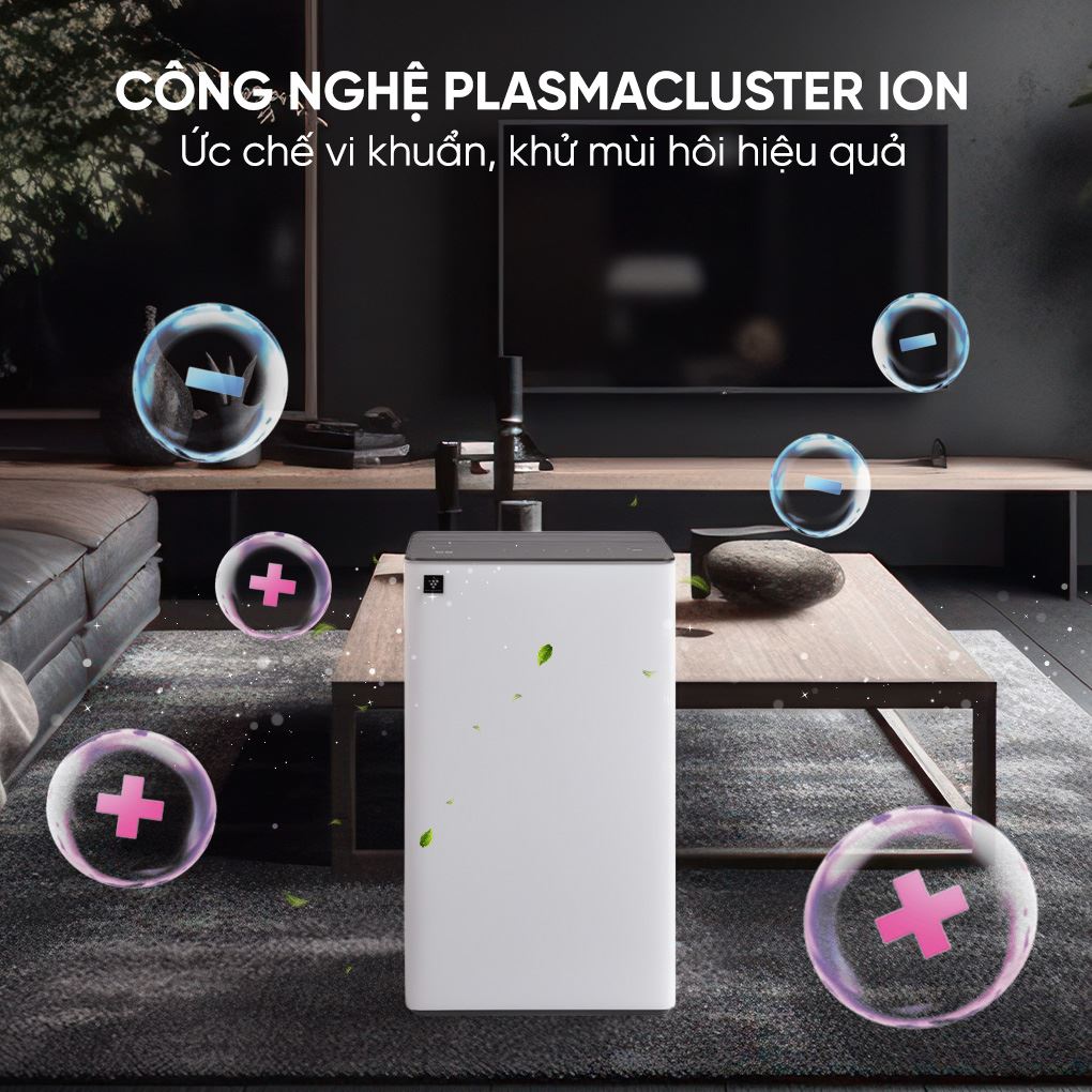 Máy hút ẩm Sharp DW-T30HV-W