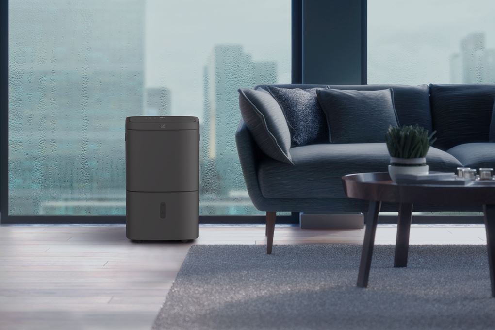 Máy hút ẩm kết hợp lọc không khí Electrolux EDH16TRBD3
