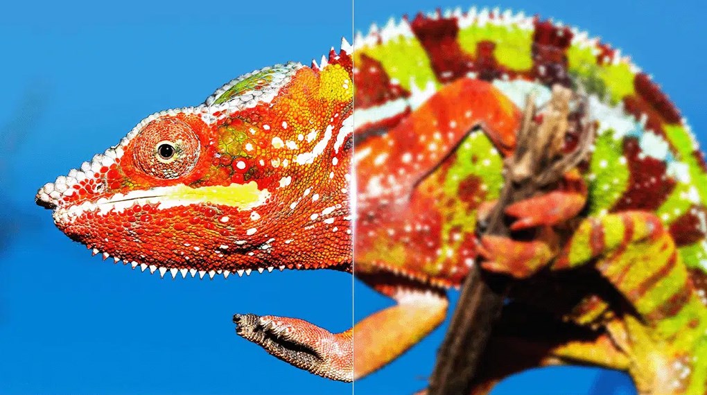 Google TV TCL 4K 55 inch 55P79BPRO