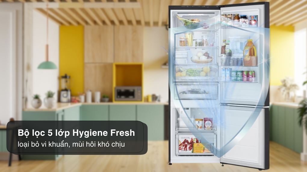 Tủ lạnh LG Inverter 332 lít LBD33BLMA