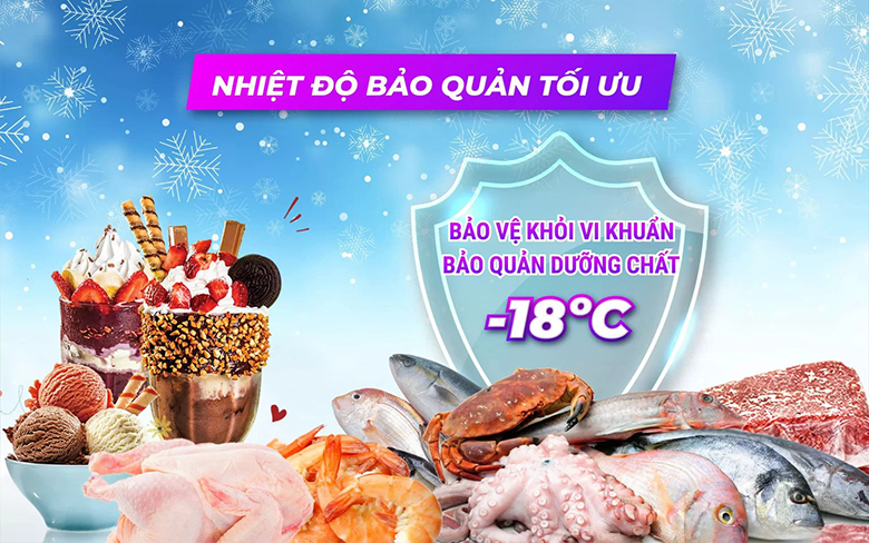 Tủ Đông Sanaky 750 lít VH1099KA