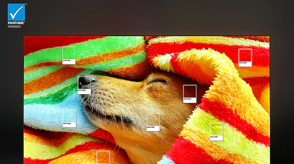 Smart Tivi QLED Samsung 4K 65 inch QA65Q80CAKXXV