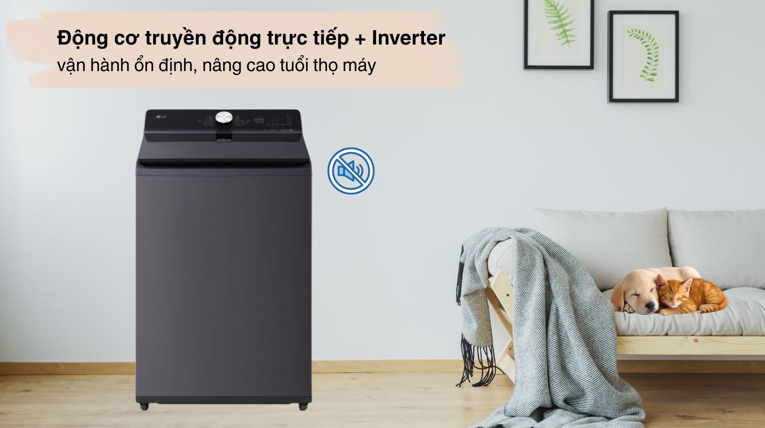 Máy giặt LG AI DD Inverter 25 kg T2725SX5G.AEGPEVN